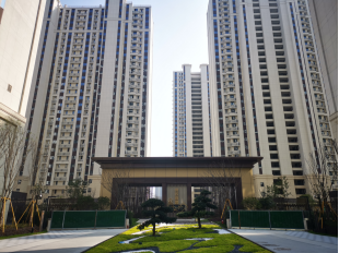 温州市核心片区葡萄棚单元B-14地块